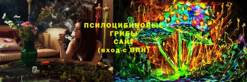 МЕГА ССЫЛКА  Свободный  Галлюциногенные грибы Psilocybe 